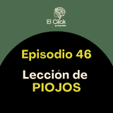 Episodio 46 - ¿Harta de luchar contra el mundo? La lección de los piojos para tu paz mental